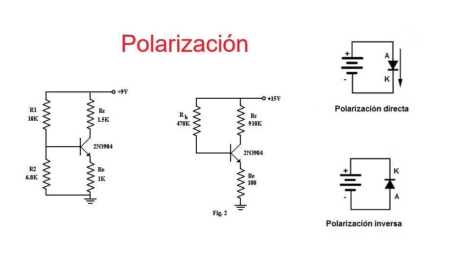 Polarización